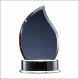Smoked Glass Tear Drop Award 9"