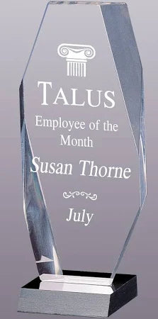 Millennium Clear Acrylic Award 9.75" x 4"
